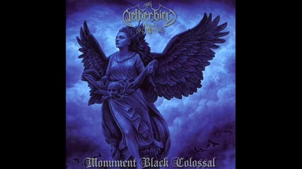 Netherbird - The Weight Of Vapour