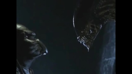 Alien vs Predator Teamheadkick