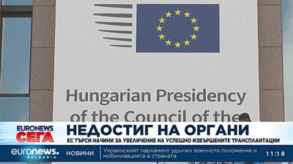 Видео - (2024-07-24 15:01:29)