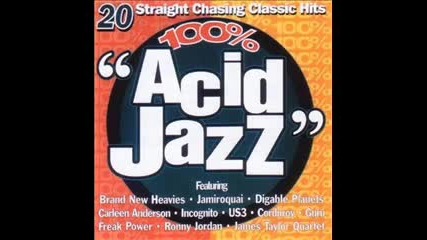 Ronny Jordan amp Dana Bryant - 100 Acid Jazz - 18 - The Jackal 