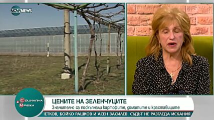 Зеленчукопроизводители: До 10 години българските плодове и зеленчуци ще са екзотика