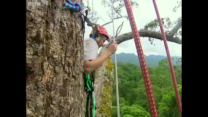 Starting the Search - Expedition Borneo - Bbc 