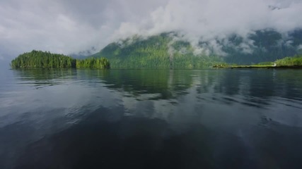 Great Bear Rainforest in 4k - Exploring British Columbia, Canada
