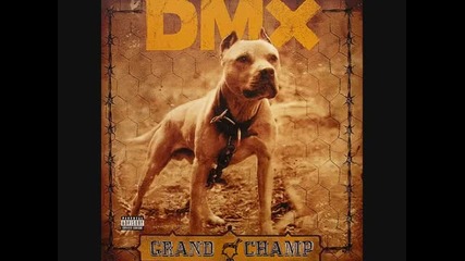 Dmx - My Life