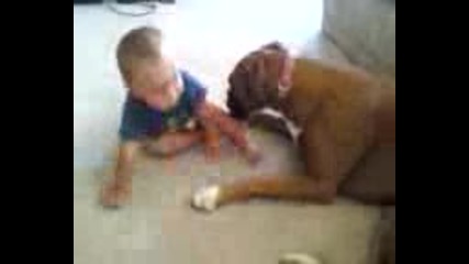 Бебе срещу куче