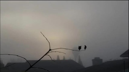 Nikosf. - Gray Morning (original Mix)