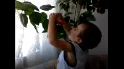 племенникът ми в къщи