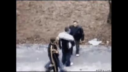 Boxer Versus Bullies