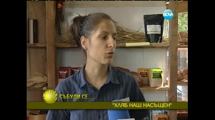 Дългата еволюция на хляба