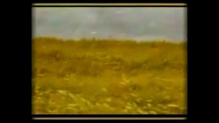 The Green Leaves Of Summer (mahalia Jackson) 