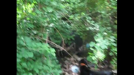 Аспарух и Кубрат от Рашайков