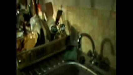 Бунтът на Мухите {анимация} 