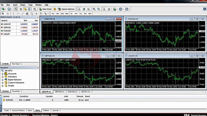 gold-pattern.com/en - Mt4 Tutorials - Terminal Window Basics - Part 1