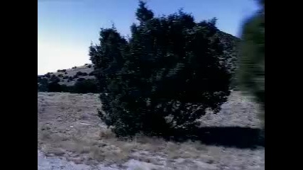 2pac - I Wonder If Heavens Got A Ghetto 