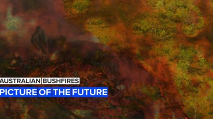 Australia's bushfires could be a look into Earth's future