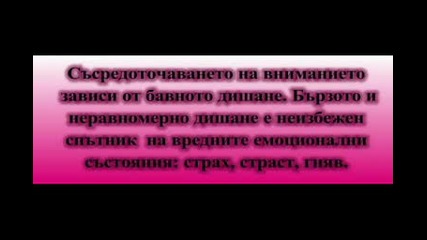Библията на Мъдрия Мравун 4