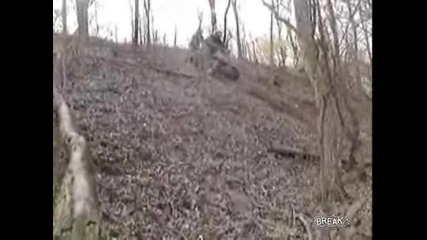 Atv in the forest