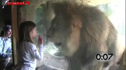 Животни нападат деца в зоопарка!
