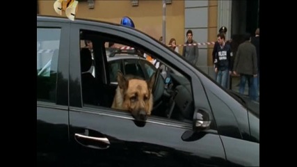 kommissar rex 10 сезон, 4 серия, 1част 