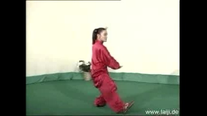 Wushu - Shaolin Kung-Fu - Tai-Chi Quan