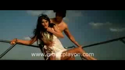 Kittens - Persia .mp4