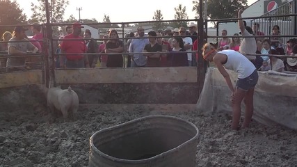 The girls pig wrestling