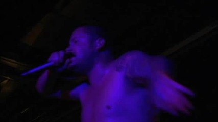 The Black Dahlia Murder - A Vulgar Picture 