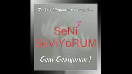 seni seviyorum