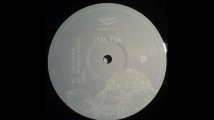 Ital Tek - Shallow Sun [sqr001]