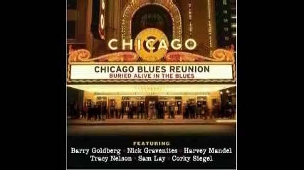 Chicago Blues Reunion - Hound Dog 