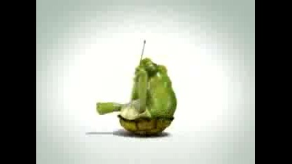 Turtle.dancing