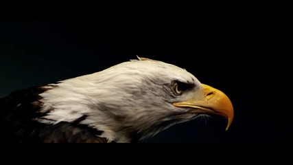Afrojack ft. Chris Brown - As Your Friend (official 2о13)