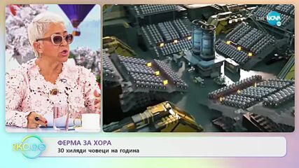 30 000 бебета на година ще произвежда изкуствена утроба