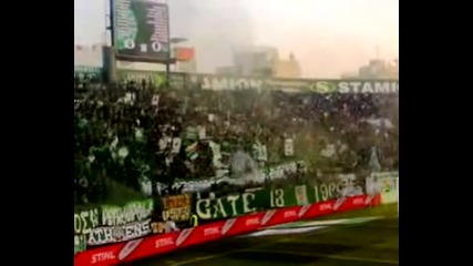 Pao - Gate 13 