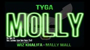 New ! Tyga ft. Wiz Khalifa & Mally Mall - Molly