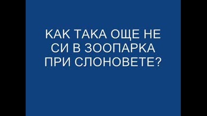 лолололо