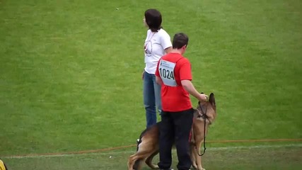2010 Bszs - Va1 Ober von Bad - Boll (1) 
