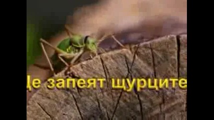 Ако беше до мен