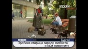 Изверги пребиха жестоко жена за това, че хранила бездомни котки! 