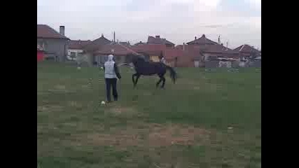 kone lom 