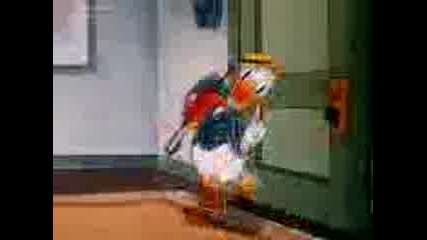 Everybody Loves Donald Bgaudio