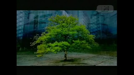 Барбс - Ададжио [ Ремикс на Фор Стрингс и Фери Корстен ][ Високо качество ][hd]