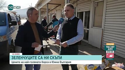 Шефът на най-голямата зеленчукова борса: До месец ще имаме нормални цени и повече продукция