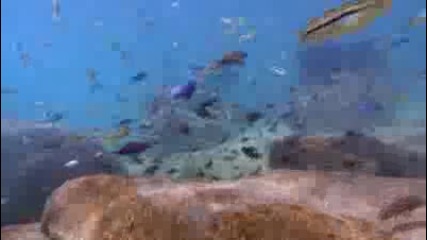 Нашата Планета Земя!!