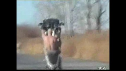 Insane - яки трикове, палене на гуми и падания с мотори