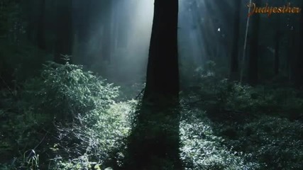 Lost Love video by Rose, music by Judyesther