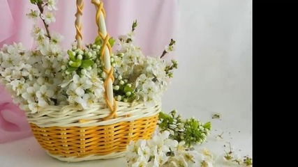 Цветни сезони... ...(music Ernesto Cortazar)... ...