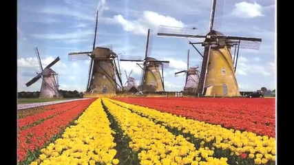 Incredible Spring In Holland