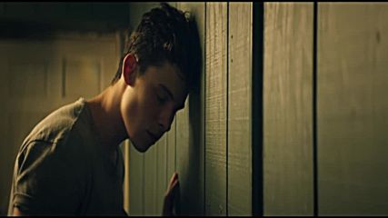 Shawn Mendes - Treat You Better (official music video) new summer 2016