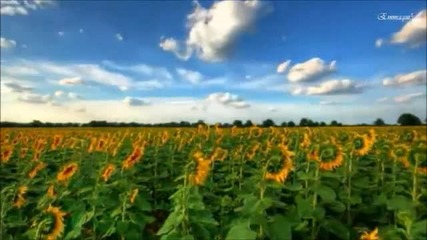 Thomas Bergersen -sun